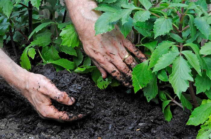 Boost Your Curb Appeal with the Right Mulch for Your Landscape